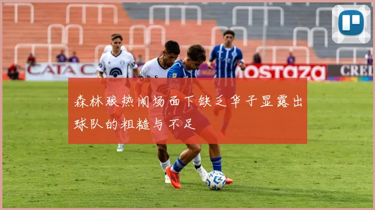 森林狼热闹场面下缺乏华子显露出球队的粗糙与不足